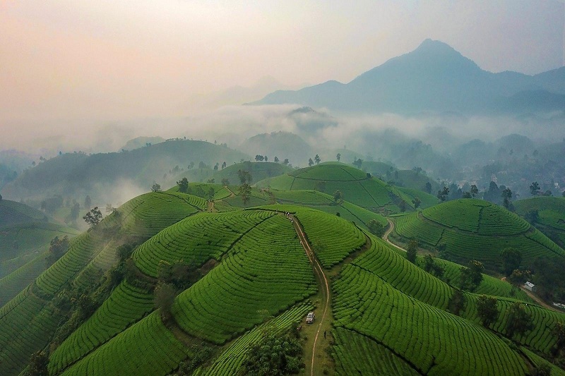 anh thien nhien chill 13 ảnh thiên nhiên chill 13