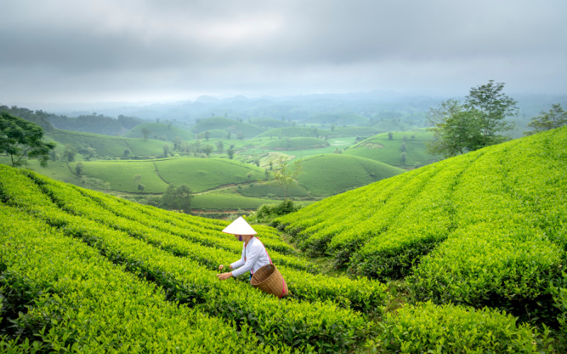 anh thien nhien chill 17 ảnh thiên nhiên chill 17