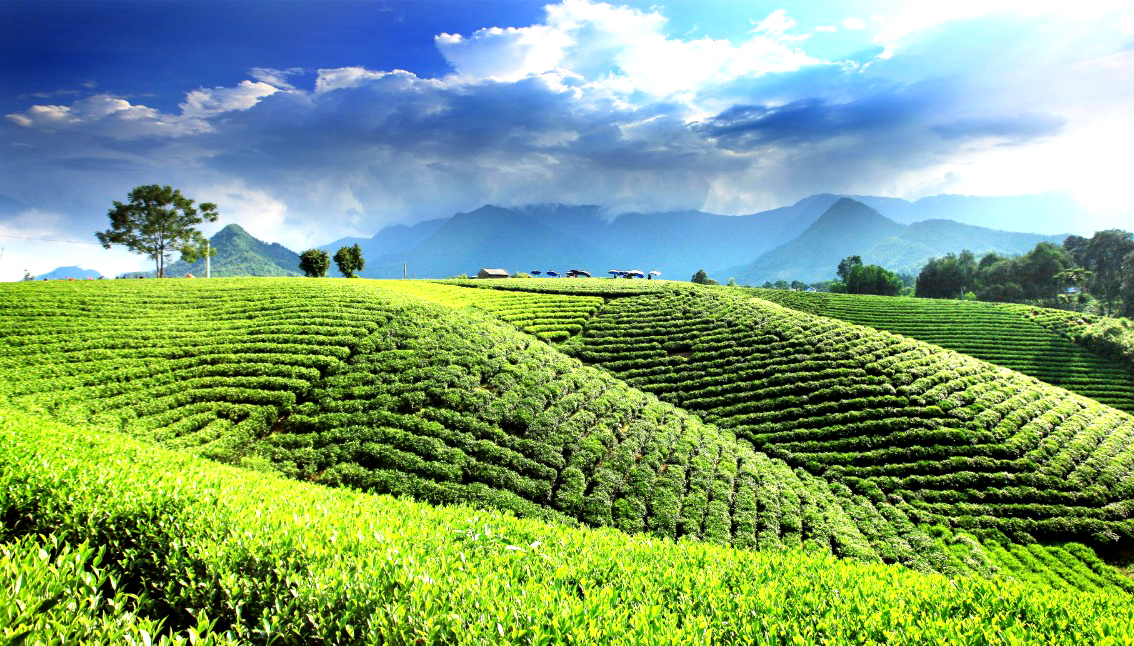 anh thien nhien chill 18 ảnh thiên nhiên chill 18
