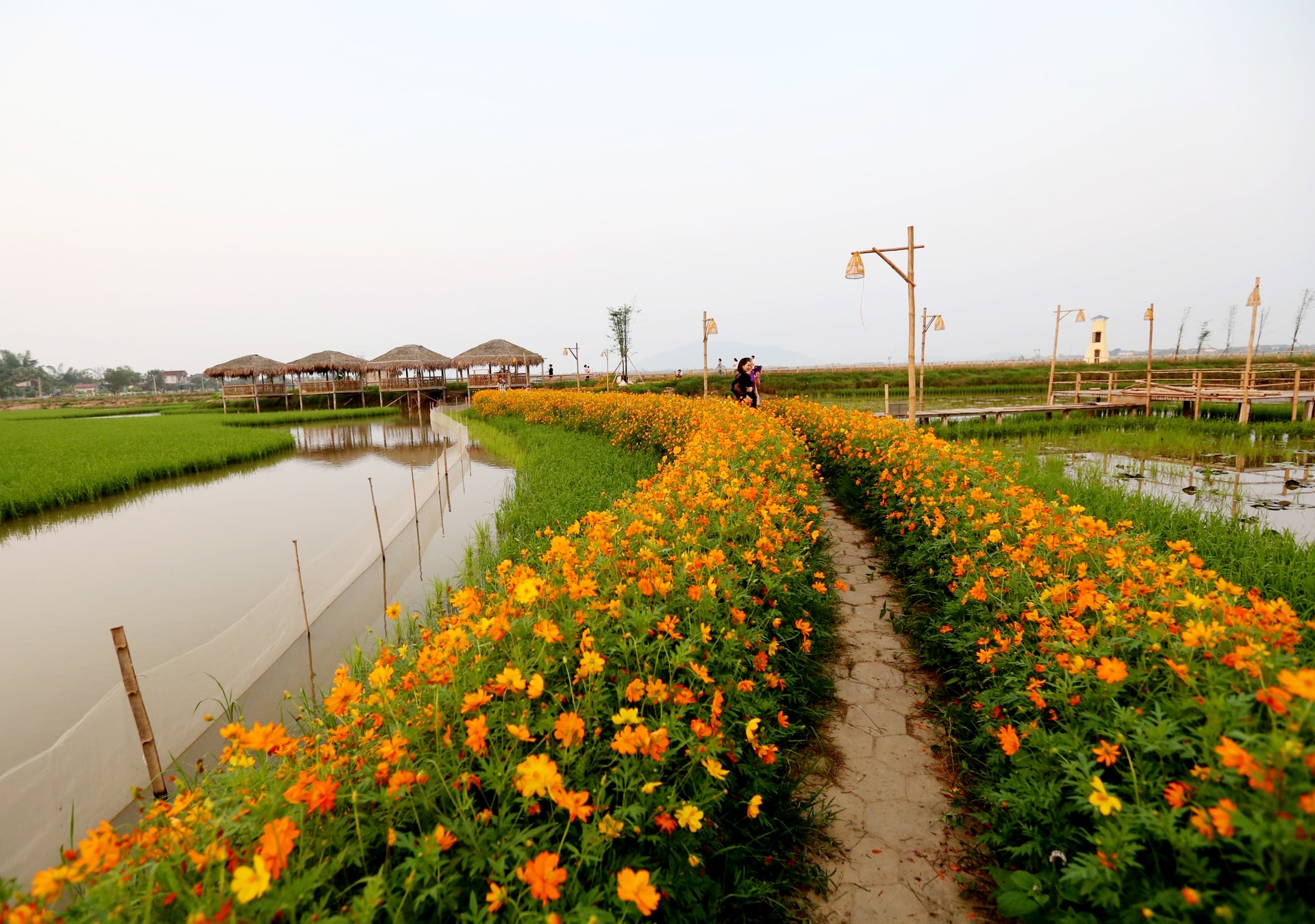 anh thien nhien chill 47 ảnh thiên nhiên chill 47