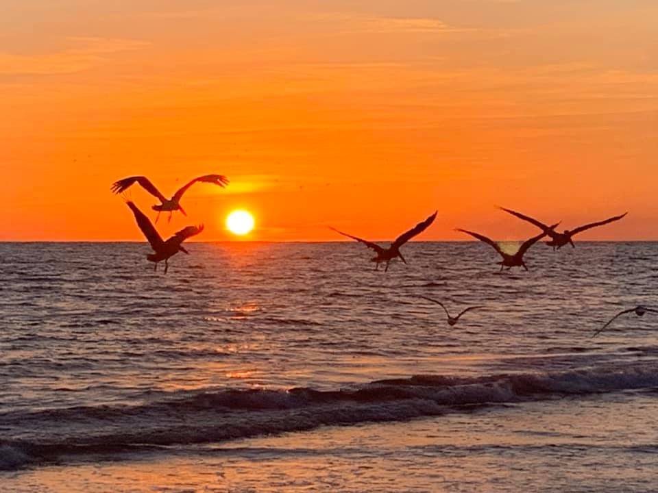 hình ảnh thiên nhiên lãng mạn 3