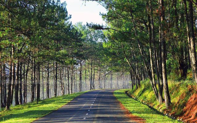 Hình ảnh thiên nhiên lãng mạn 30