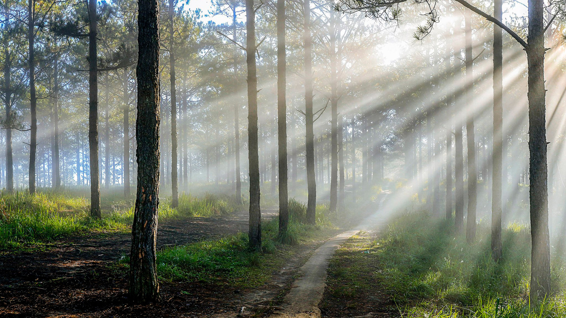 Hình ảnh thiên nhiên lãng mạn 31