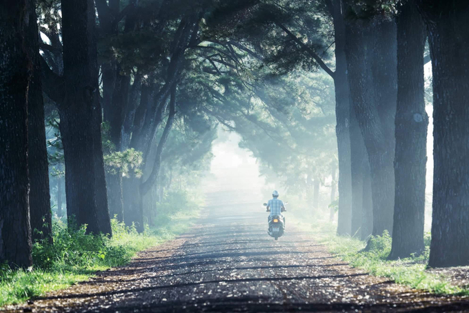 Hình ảnh thiên nhiên lãng mạn 32