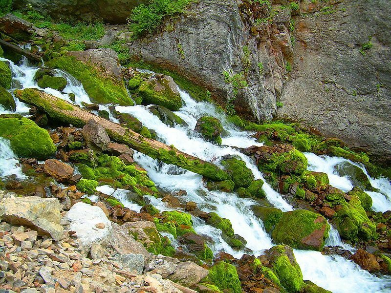 Hình ảnh thiên nhiên lãng mạn 37