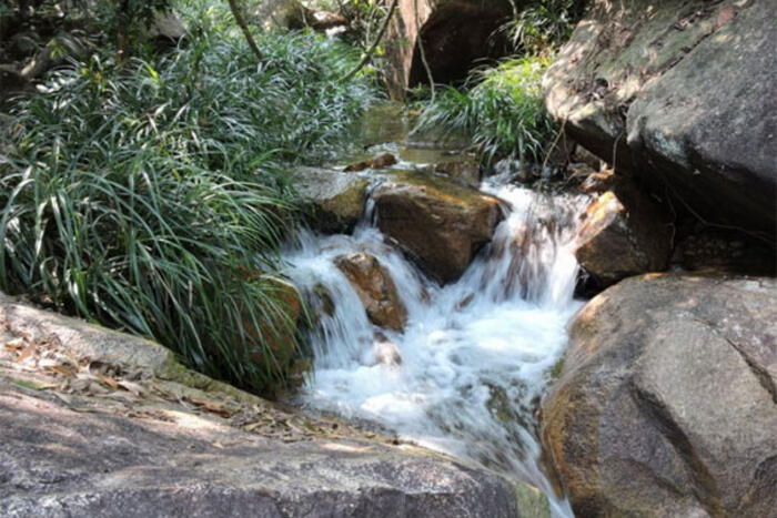 Hình ảnh thiên nhiên lãng mạn 38