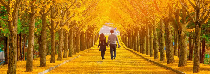 anh thien nhien mua thu han quoc 18 ảnh thiên nhiên mùa thu Hàn Quốc 18