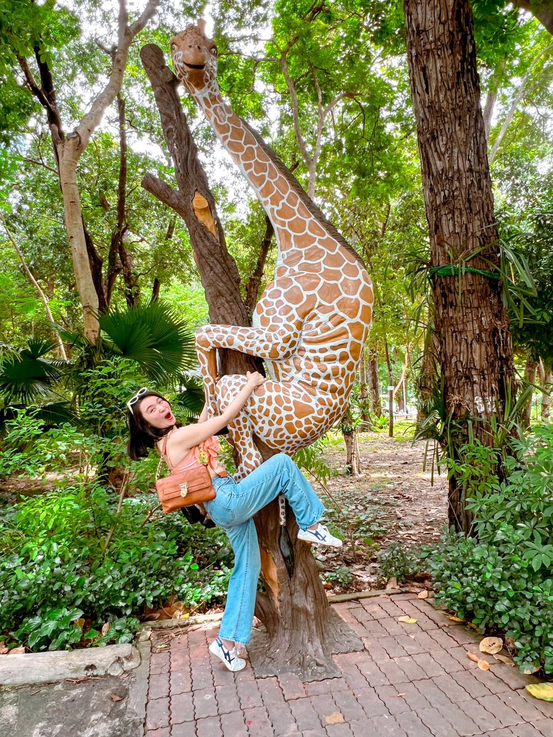 hinh con huou cao co 17 Hình con hươu cao cổ 17