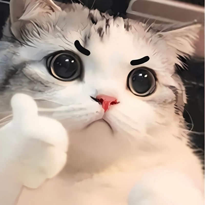 hinh con vat cute 17 hình con vật cute 17