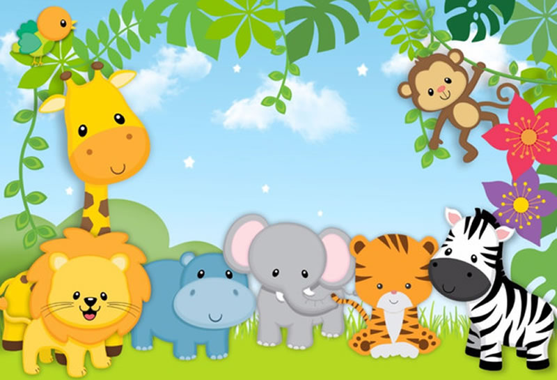 hinh con vat cute 33 hình con vật cute 33