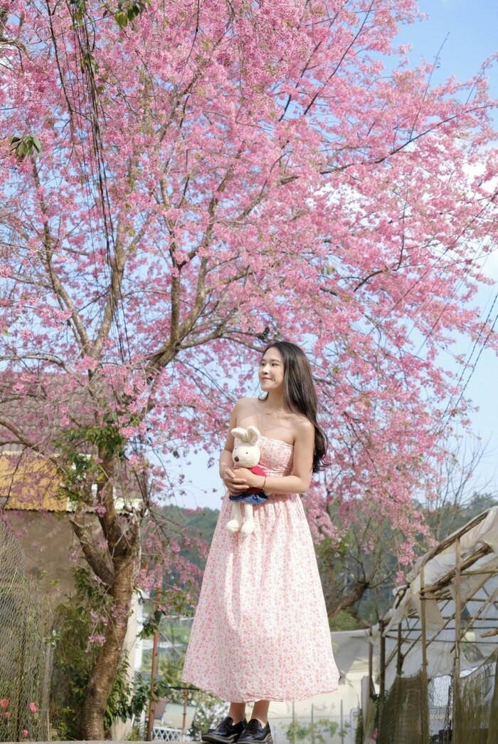 hinh gai han xinh 1 Hình gái Hàn xinh 1